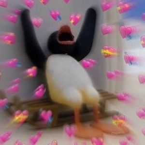 Meet your Posher, Catlin